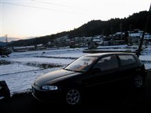 ３６５日、年中無休（・∀・）ﾆﾔﾆﾔ