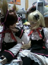 百合？