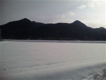 雪積もってます