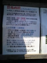 鴨を助けてみたはなし