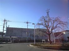 定点観測 12/21(月)