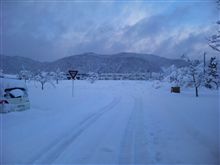 凄い雪降りました