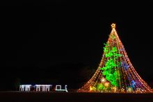 宮ヶ瀬にクリスマスツリーを見に行きました