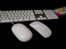 イッツ　ビューリフォー！！