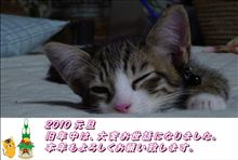 作成