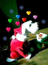 Mary Xmas