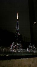 今夜のTOKYOタワー 