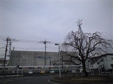 定点観測 12/26(土)