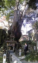 来宮神社