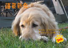 あけましておめでとうございます(*^_^*)