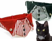 猫にも襟高の時代到来？？