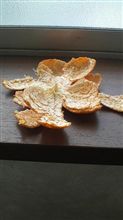 みかん