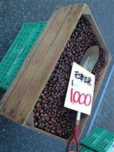 １スコップ1000円