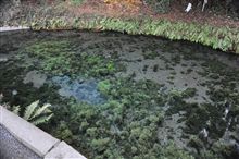 白川水源～熊本・白川～
