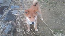 新しい出会い!?