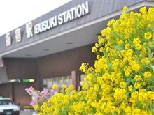 菜の花咲く 指宿