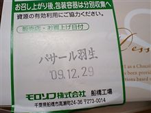 先行 追い切り。 先行 追い切り。
