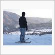 【White Snow in ...