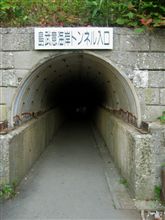 入ってみます？