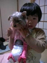 薮入り… 薮入り…
