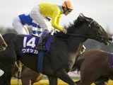 年度代表馬への道 年度代表馬への道