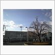 定点観測 12/31(木)