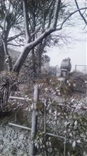 今年は････色々あったです。