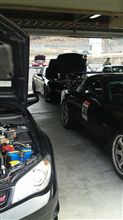 走ってきました。 走ってきました。