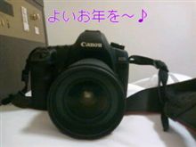 ご無沙汰してます(-.-;)