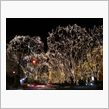 今年も終わり