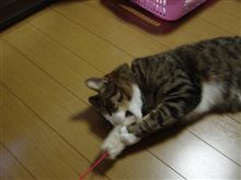 あけおめ～♪