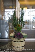 2010年がスタート