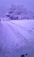 初走行しかも雪道