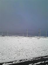 2010年