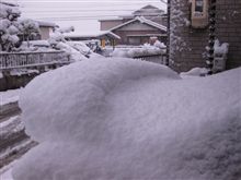 初出勤・・・