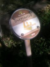 確か…