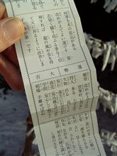 おみくじ♪