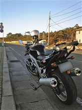 SUZUKI  SV1000