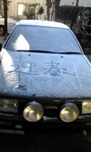 迎春