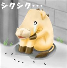 今年初 (* v v)。 