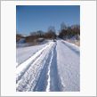 ’１０　新　年　雪　漕ぎ