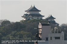 針路はどちらに！？