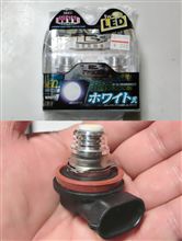 今年初ブル・・・