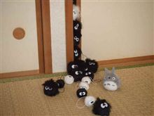 掃除したのに・・・ 掃除したのに・・・