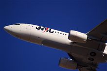 JAL B737-800