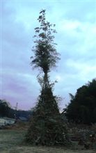 早朝から・・・♪