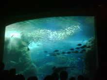 新江ノ島水族館