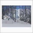 Winter Lifesty ...