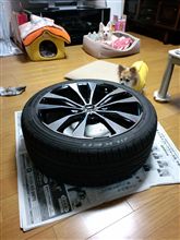 そろそろ限界かと・・・