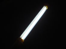 みなさんのおかげです みなさんのおかげです